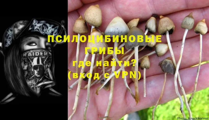 Псилоцибиновые грибы MAGIC MUSHROOMS  Лянтор 